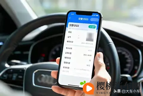 开车只带电子驾照真的万无一失?别大意,不少车主己经栽了跟头!-1