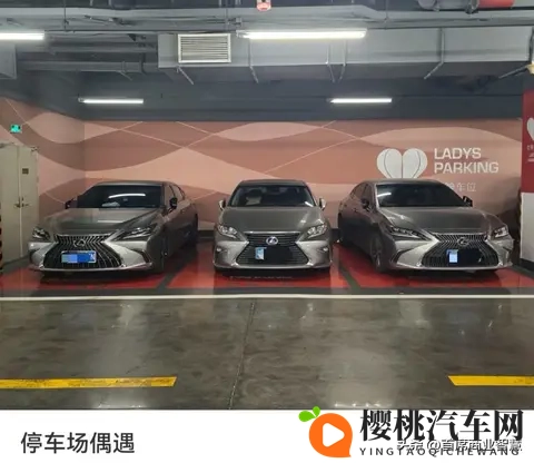 我让娇妻尝试黑老外3p:智能驾驶革新:3P系统让驾驶更轻松-2