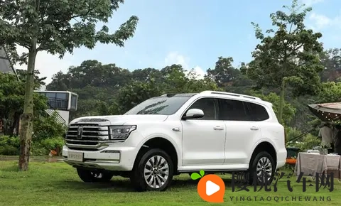 谁才是国内“越野一哥”?坦克、方程豹、猛士10月销量出炉-2