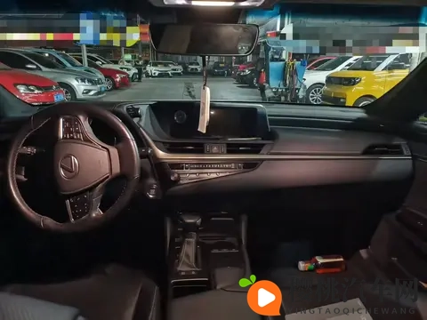 1698万,入手银灰色雷克萨斯ES,宜商宜家之选-3