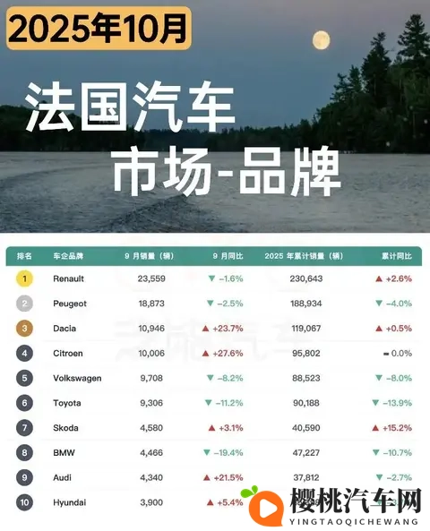 欧洲车市  法国2025年10月：汽车市场回暖 ，比亚迪和名爵销量暴涨-3