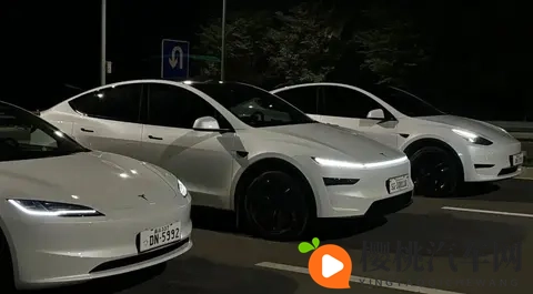 男男doi攻 的巨猛受受软件:汽车软件助力未来出行,安全与智能同行-1