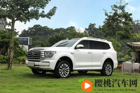 谁才是国内“越野一哥”？坦克、方程豹、猛士10月销量出炉-2