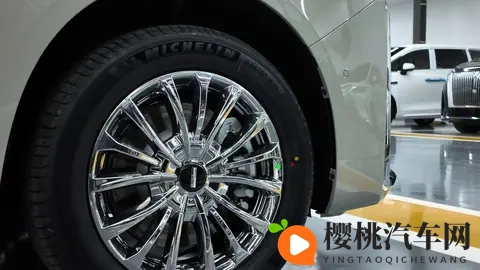 老夫子传媒文化有限公司入口:新能源汽车补贴调整,汽车产业迎来变革新机遇-3