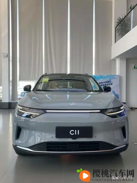 2025年10月汽车销量榜:比亚迪稳居榜首,国产车占据近70%-3