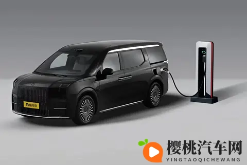 家庭商务通吃？极氪 009：800V +CCD+空悬  还有购车福利-3