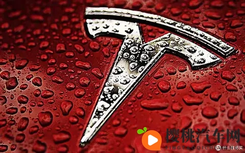 特斯拉蒸发3800亿：暴跌背后，藏着3个被忽视的真相-1