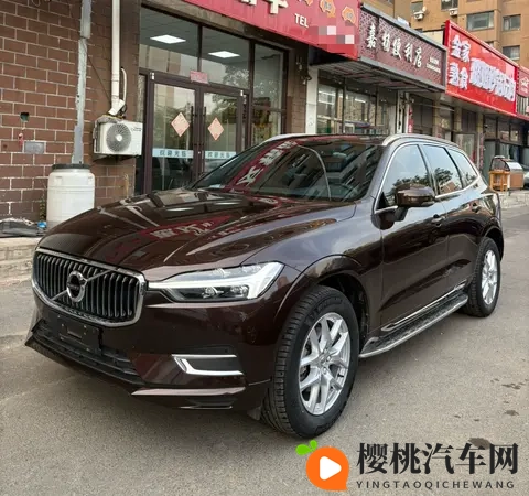 4438x20:揭秘汽车性能:揭秘数字背后的秘密,选车不再迷茫-3