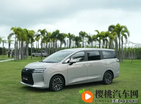 预算10万内可以闭眼入！双独悬 + 续航1100km，大7座MPV，768万起-3