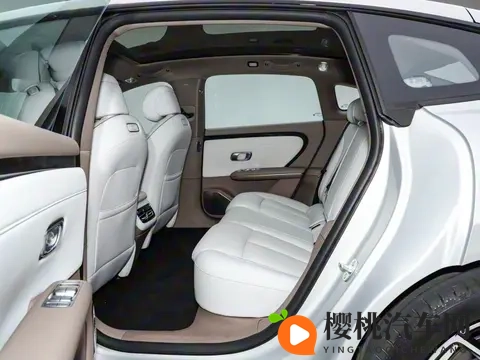 有高级感了！这台大空间绿牌家轿只要1099万元起-3