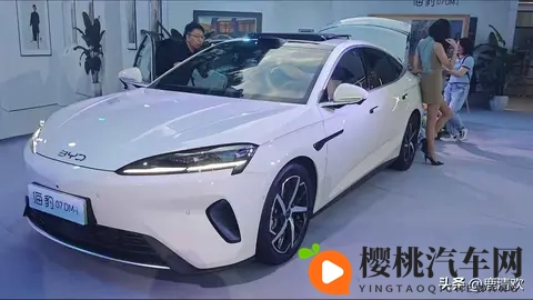 男生女生搓搓：青春互动，男女生欢聚搓乐时光-1