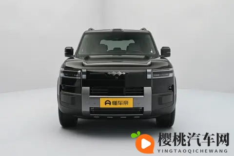 家庭用车选它不纠结！空间大、能耗低、续航长，带娃出行超省心-2