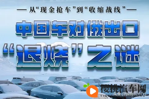 单车利润从10万到“白菜价”,中国车商在俄罗斯经历了什么?-1