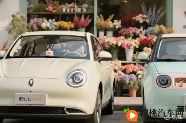 小恩雅万元私人订制：汽车定制新潮流：揭秘万元服务亮点-1