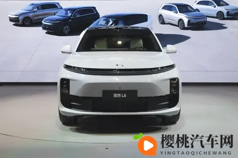 1-10月新势力车企KPI达成率:小鹏提前冲线,理想、极氪只有5成多-2