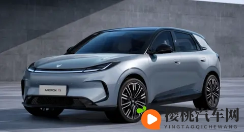 2025年前9个月爆款车型top10-1