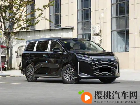 欧美xxxwww:汽车界新宠:揭秘欧美热销车型背后的成功秘诀-2