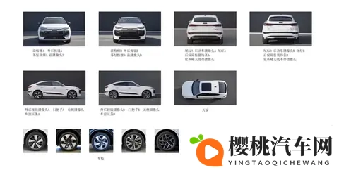 奥迪Q6L e-tron_Q6L Sportback e-tron申报信息公示 电机有所升级-2