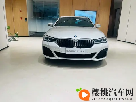 欧美牲：揭秘欧美汽车：独特设计引领潮流，性能卓越成市场焦点-3