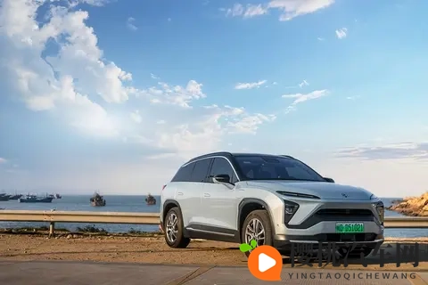 2025 全球新能源汽车 Top10:中国 4 席领跑,特斯拉增速仅个位数-3