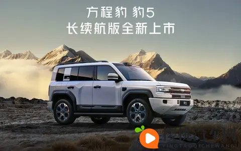 政策收紧前夜车市上演最后狂欢，谁在狂奔谁掉队？-2