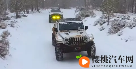 99re这里都是精品:探寻汽车精品:轿车、SUV、新能源谁才是你的心头好-3