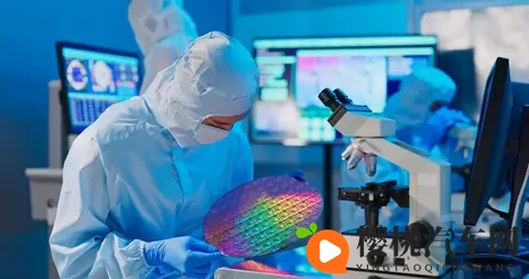 荷兰“认输”归还安世还不够，必须严惩荷兰安世高层-2