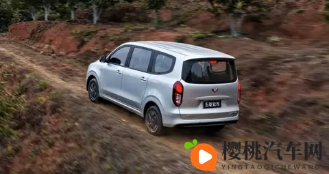 【E汽车】五菱宏光新款家族上市-3