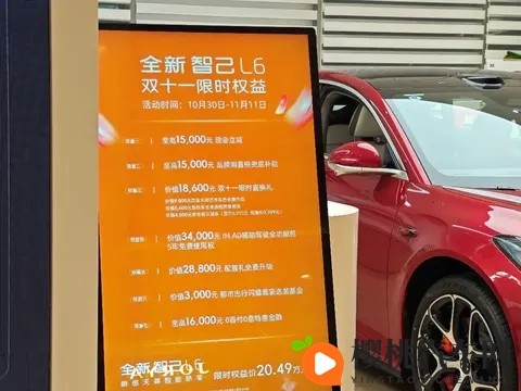 密集推出购置税“兜底”政策 车企年终开启“花式抢单”模式-1