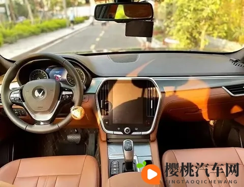 越南杀出一匹黑马!本土品牌VinFast把丰田、本田打得找不着北?-3