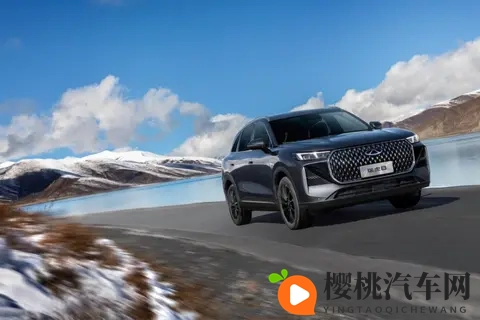 限时抢鲜价929万元起，第五代瑞虎8上市！-3