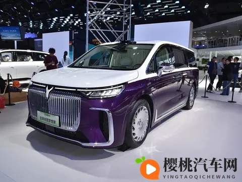 预售价7099万元_四座布局 岚图梦想家山河版将于11月21日上市-1