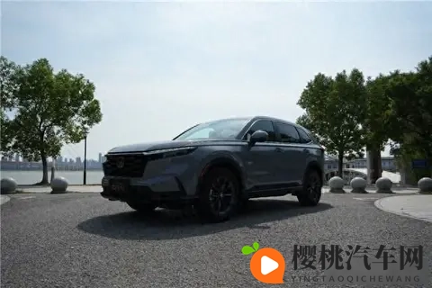 99热这里只有精品8：汽车市场新风向：严选精品，品质亲民-3