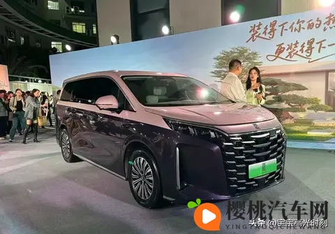 比亚迪地板价背后:车市地震里的得失与纠结-3