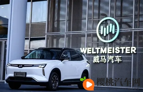 威马汽车突然说“好事将近”,它在期待什么?-3
