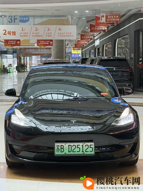 十年老车也疯狂?二手特斯拉Model3还能再战几年?-3