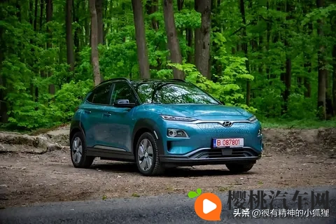 澳大利亚最好的电动汽车-3