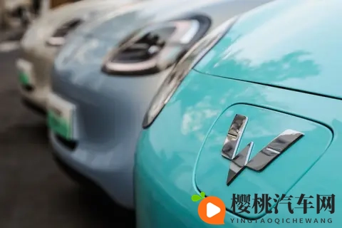 A00级也能开301km，宏光MINIEV四门版长续航上市，售价558万-3