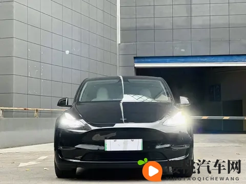 22年特斯拉Model Y:61万公里,高性能版,电车加速天花板?-2