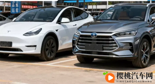 天天干,天天干：日复一日，持续奋斗不懈-2