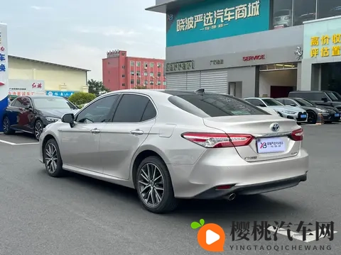 JuliaAnn   大战黑人：年轻车手对老将，速度对决，谁能称霸赛车场？-1