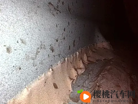 黄软件app下载:车主生活新变革,黄软件APP便捷升级-3