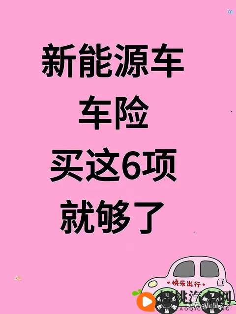 新能源车车险买这6项就够了-1