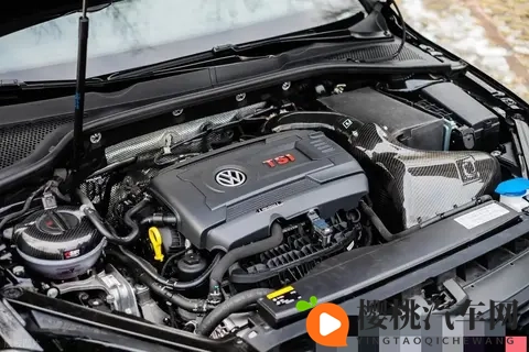 想养活EA888,省下几万修理费?20年老师傅的避坑秘籍!-2