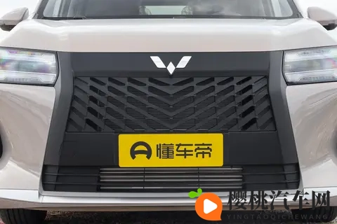 预算有限，追求空间实用与性价比？这款MPV值得一看！-1