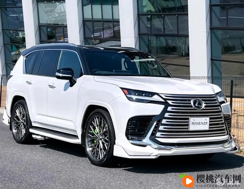 男人与雌宠物交h:人性与宠物亲密接触现象探讨-1