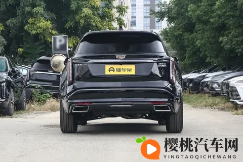 这里只有精品久久：精选佳品，传承久远-2