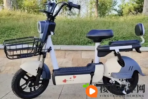 16寸轮胎更稳,电动车为啥偏爱14寸?核心不是省钱-2