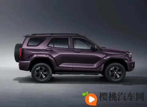 3种动力可选,智能化升级,2498万元起 新款坦克400上市-3