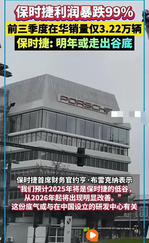 保时捷利润暴跌99%,在华销量狂跌!豪华车不香了?-1